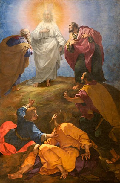 WHY DID CHRIST CALL HIS DISCIPLES TO WITNESS THE TRANSFIGURATION?