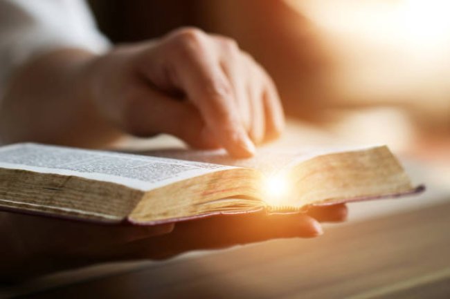 THE LIGHT AND THE LAW